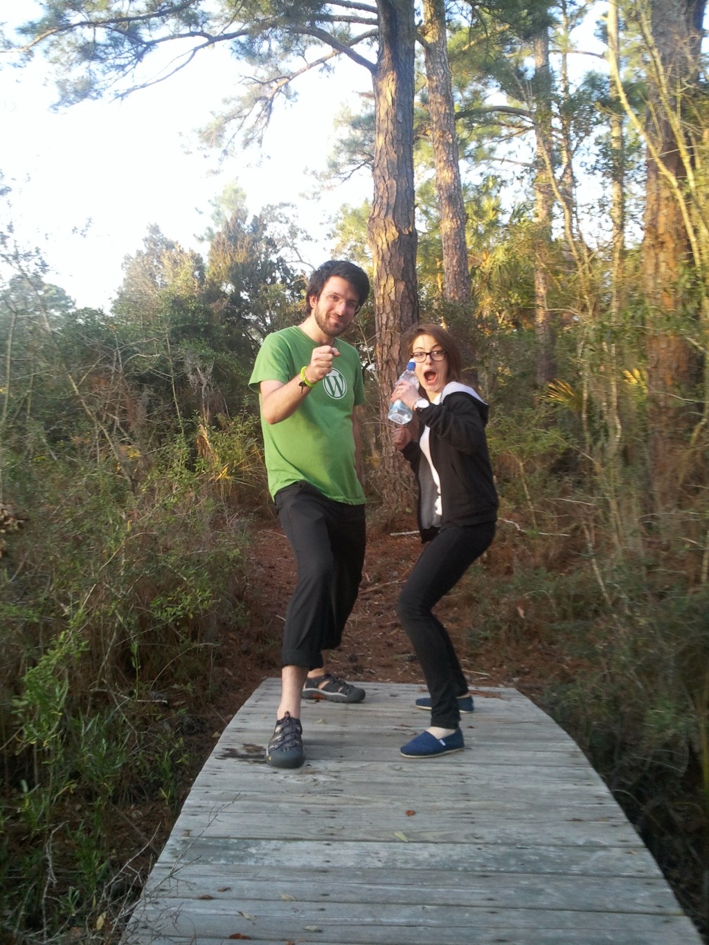 Automatticians in a&nbsp;Bridge