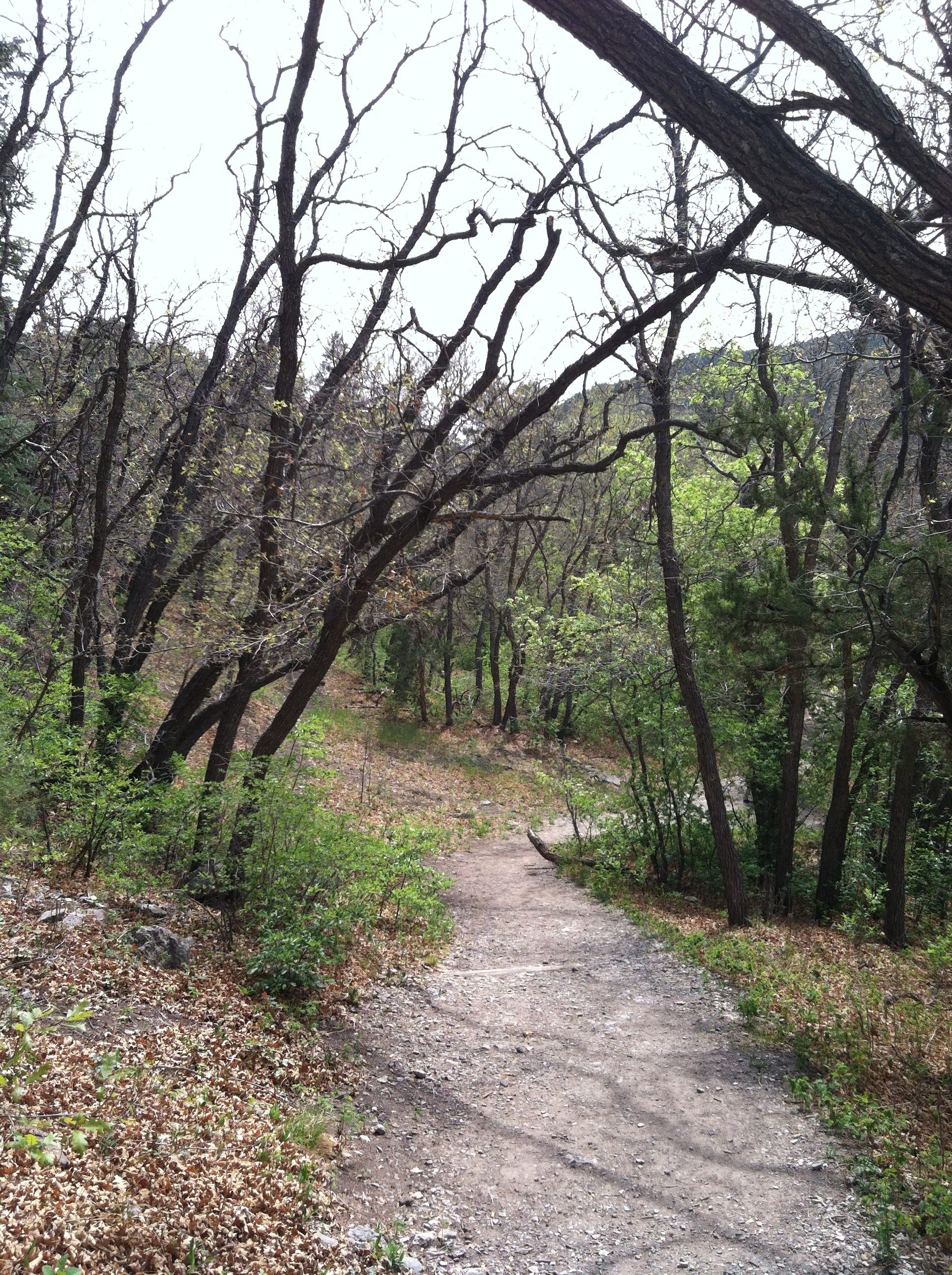 Backroads: Las Huertas Canyon