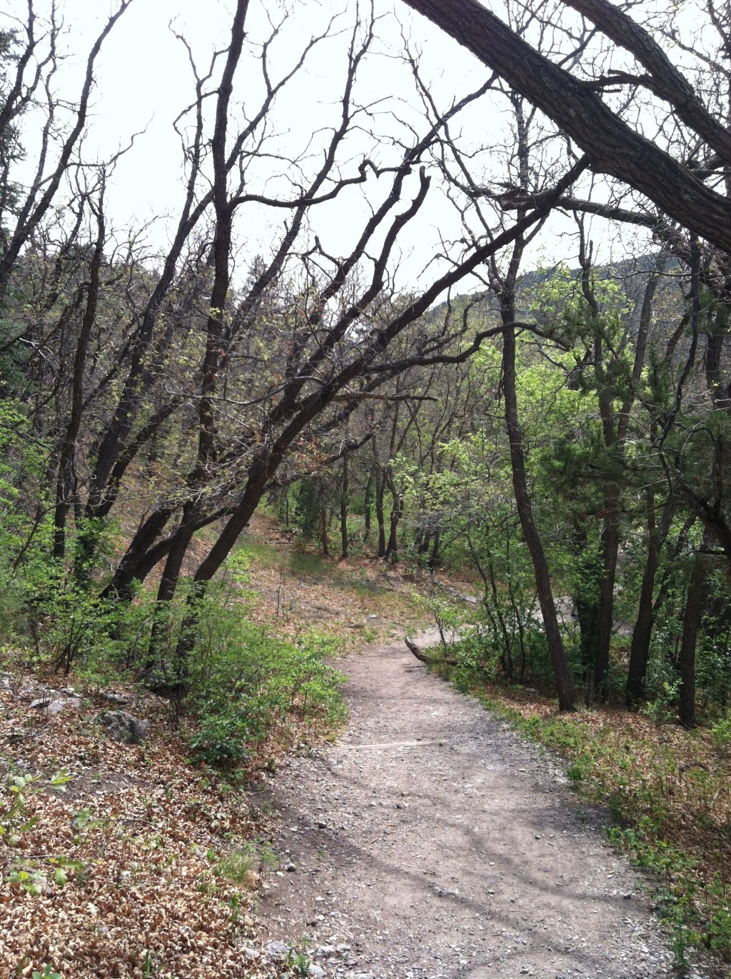 Backroads: Las Huertas&nbsp;Canyon