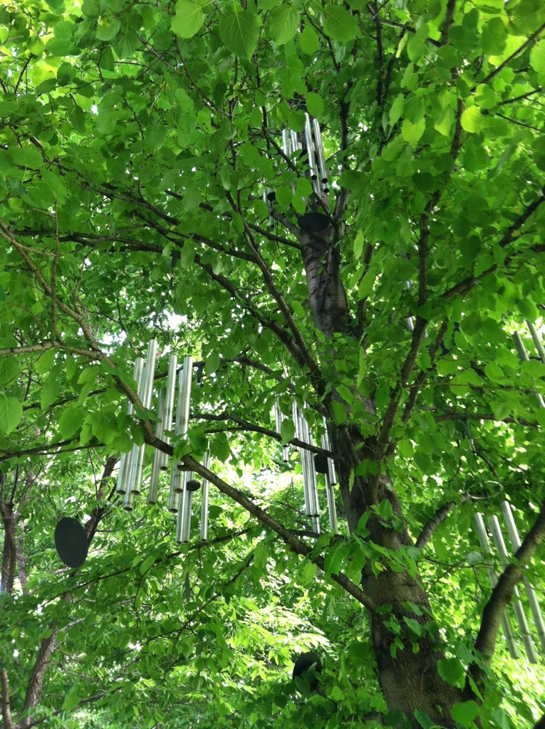 Wind in the&nbsp;Trees