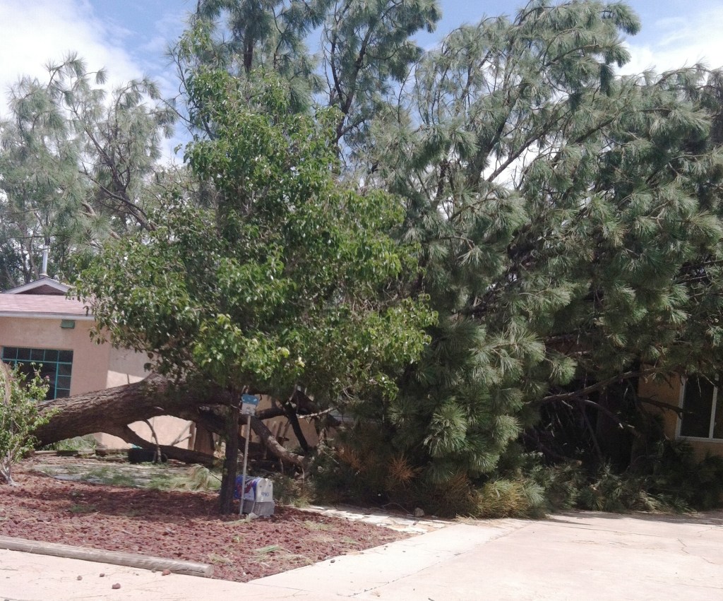 Hurricane Green Chile