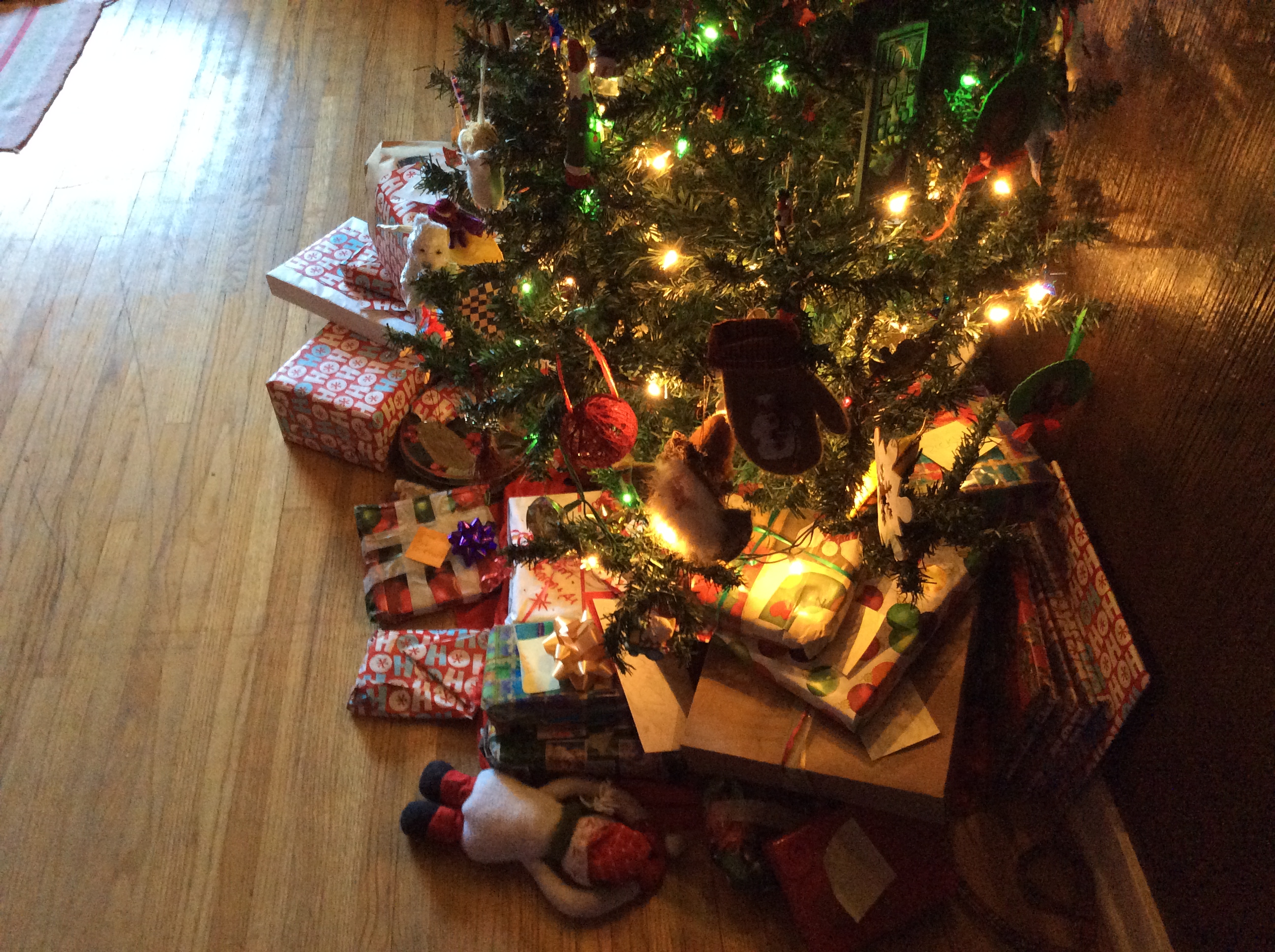 The Twelve Days of Christmas