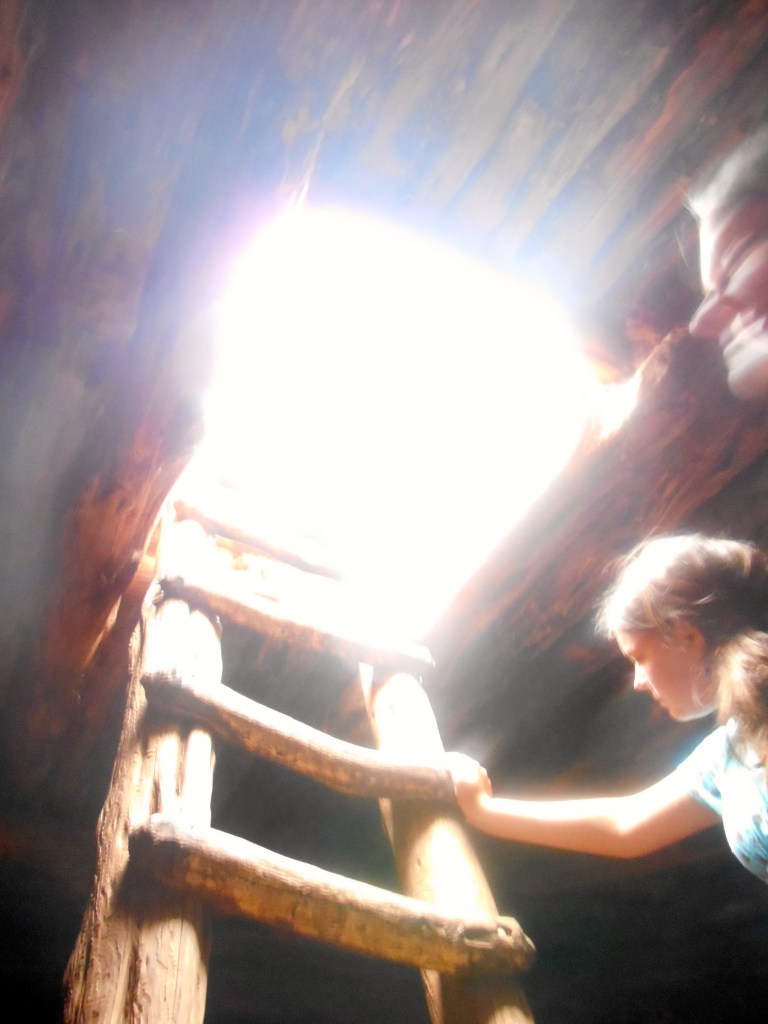 15184233662_f85442c53f_o