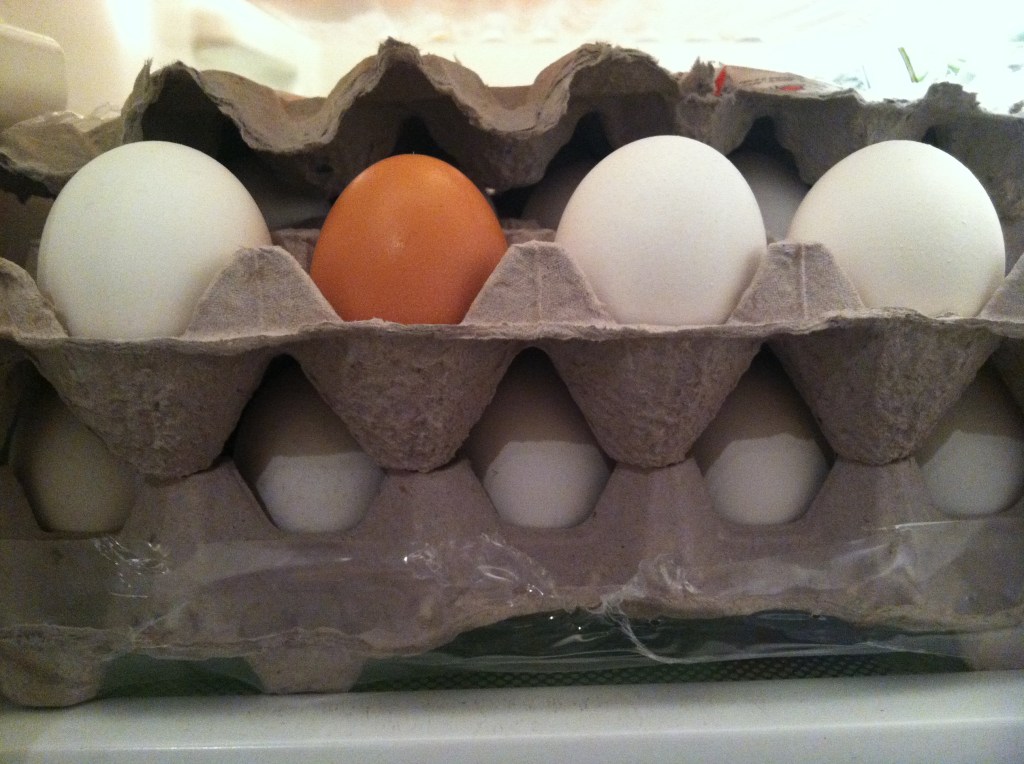 One of These Things is Not Like the&nbsp;Other