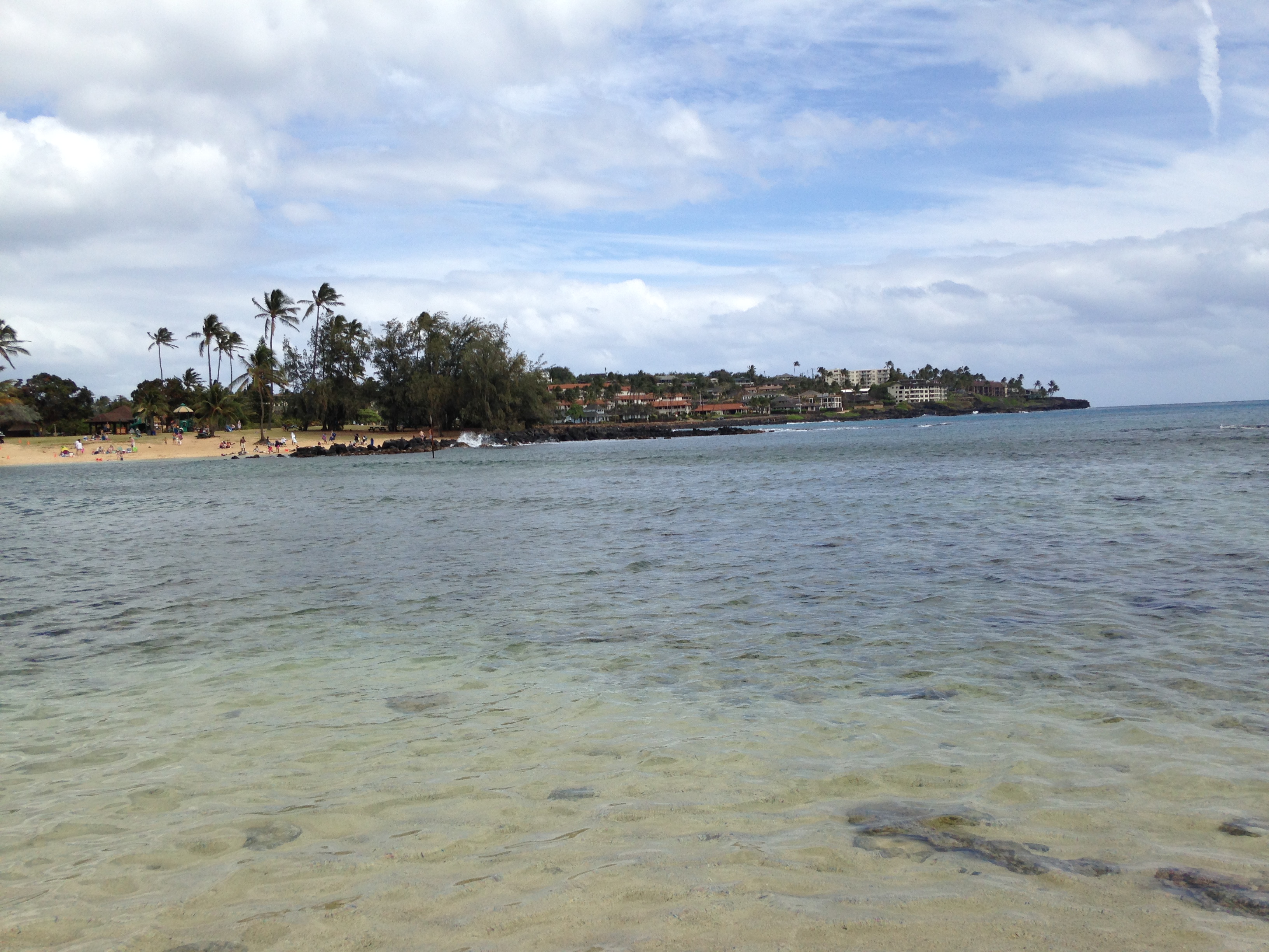 I Went to Hawaii for Work