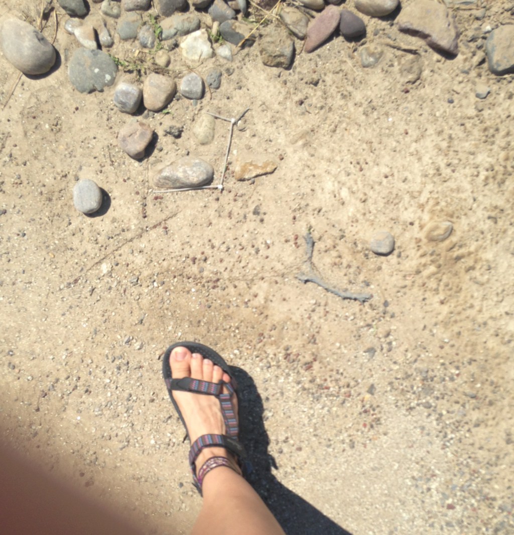 More Than a Half&nbsp;Marathon