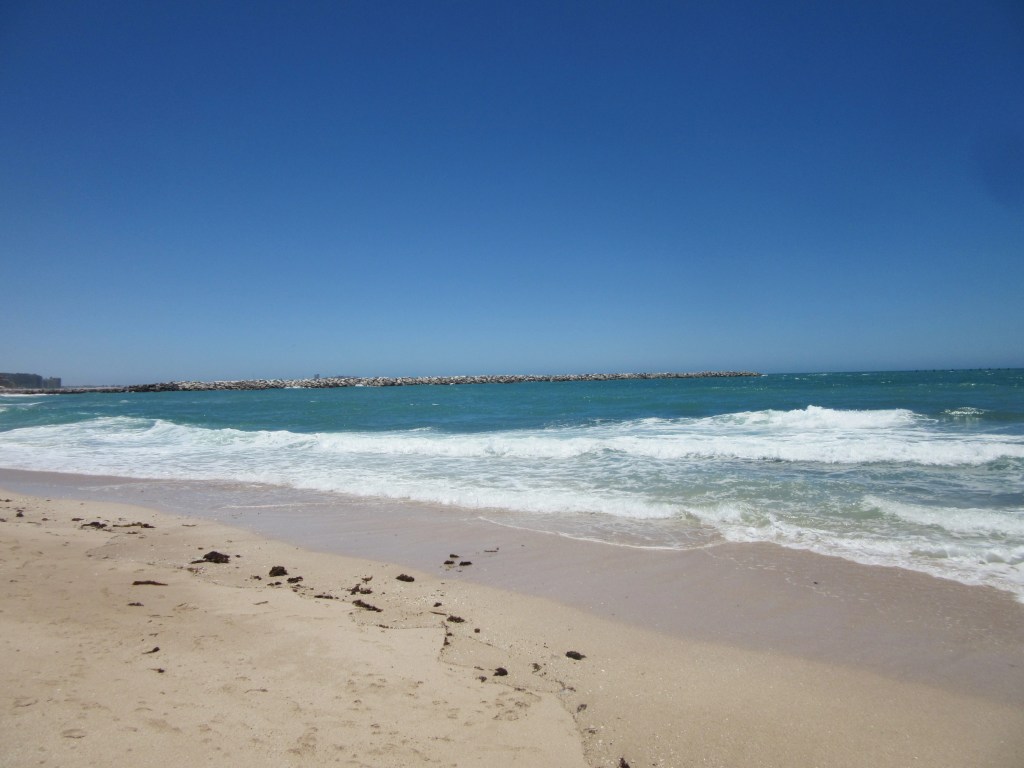 Sabbatical Reflection